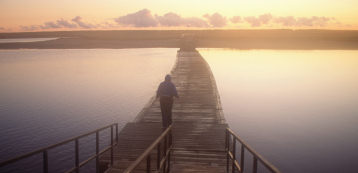 boardwalk image