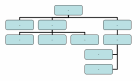 organization chart image